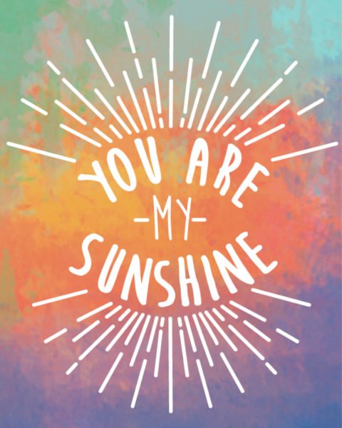 Cover the You Are My Sunshine Journal